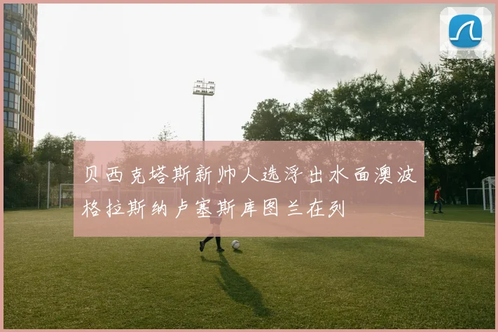 贝西克塔斯新帅人选浮出水面澳波格拉斯纳卢塞斯库图兰在列