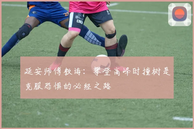 延安师傅教诲：攀登高峰时撞树是克服恐惧的必经之路